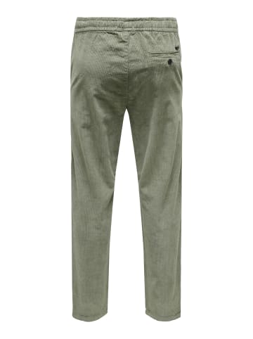Only&Sons Hose 'Linus' in grau