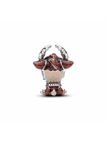 Pandora Charms & Anhänger für Erwachsene in silber