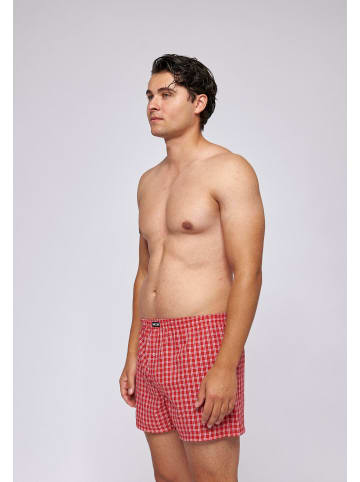 SNOCKS American Woven Boxershorts aus Bio-Baumwolle Small Check 3 Stück