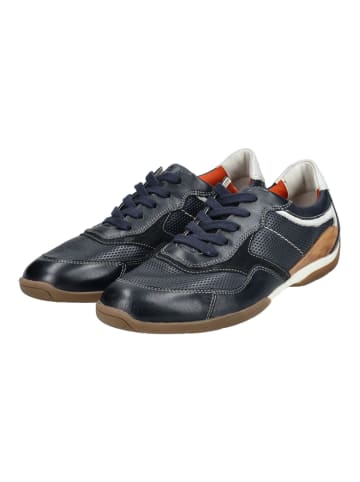 LLOYD Sneaker in Marine