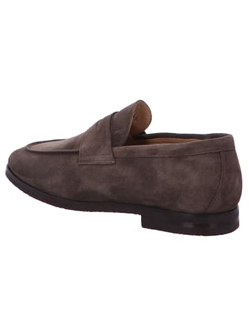 Floris van Bommel Slipper in taupe