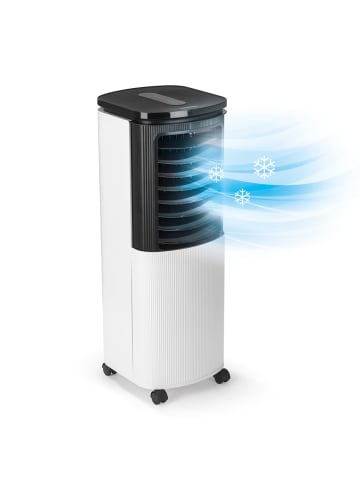 HOBERG Luftkühler 160W weiß/schwarz  Weiß