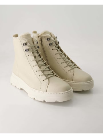 Paul Green Schnürstiefeletten in Beige