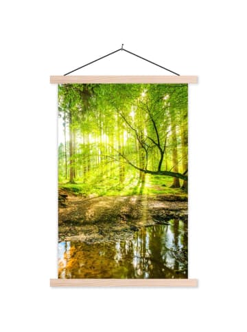 MuchoWow Poster mit Leiste Waldlicht (BxH)