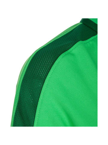 Nike Performance Funktionsshirt Academy 18 in hellgrün / dunkelgrün