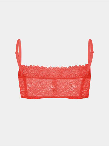 Erlich Textil  DREAMY LACE BANDEAU BRALETTE in wilde orange