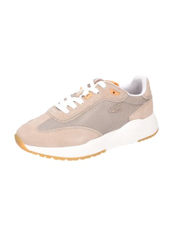 Camel Active Schnürschuhe in beige