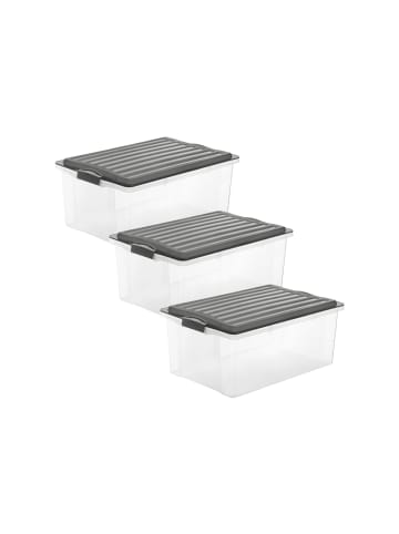 Rotho Compact 3er-Set Aufbewahrungsbox 38l mit Deckel in Anthrazit