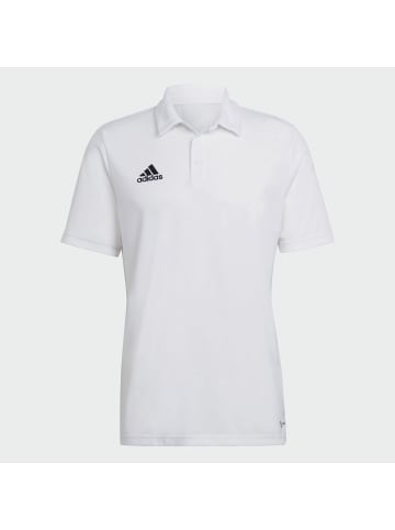 adidas für Herren in uni