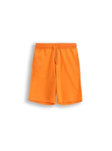 Coccodrillo Kurze Baumwollshorts in orange