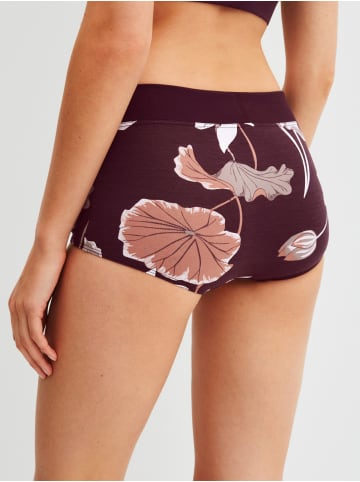 Calida Panty in black cherry