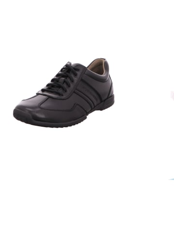 Gabor Lowtop-Sneaker in schwarz