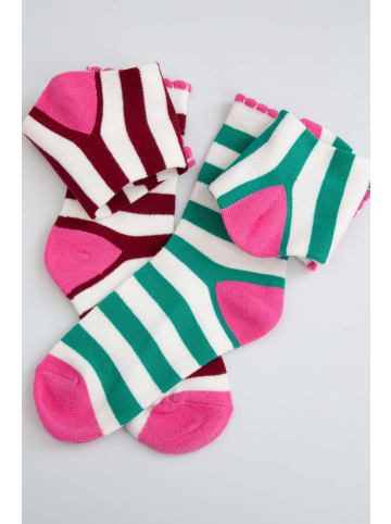 Coccodrillo Socken in bunt
