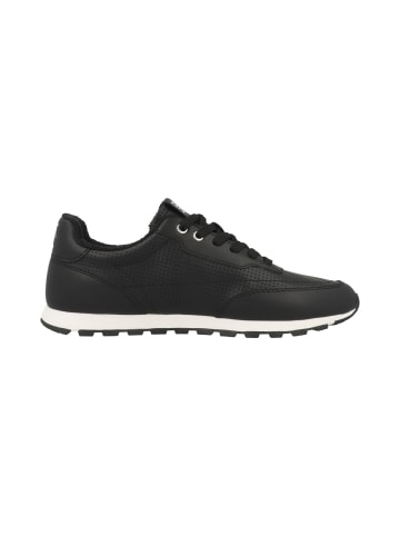 Candice Cooper Sneaker low PLUME in schwarz