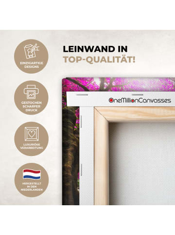 MuchoWow Leinwand Bilder Magischer Wasserfall