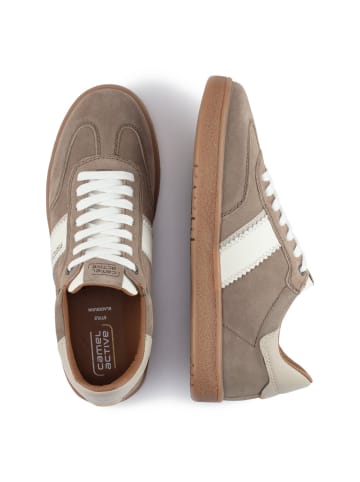 Camel Active Sneaker aus Veloursleder in Beige-Weiß