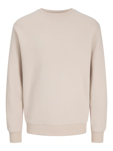 Jack & Jones Sweatshirt in Moonbeam