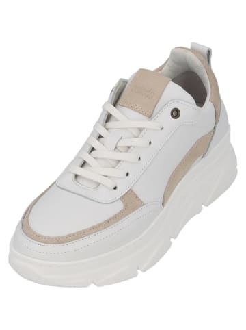 palado Schnürschuhe in White/Beige