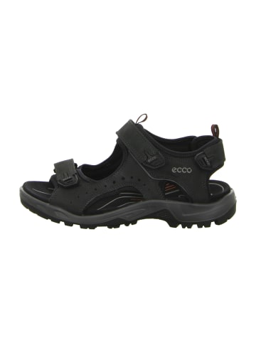Ecco Trekkingsandalen in Schwarz