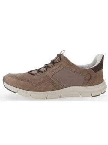 Pius Gabor Herren Halbschuhe Sneaker low in Braun