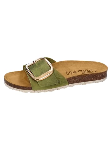 Camel Active Pantolette in Oliv