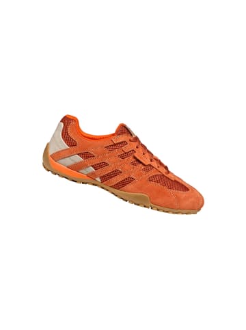 Geox Sneakers Low U Snake Orginal A in orange
