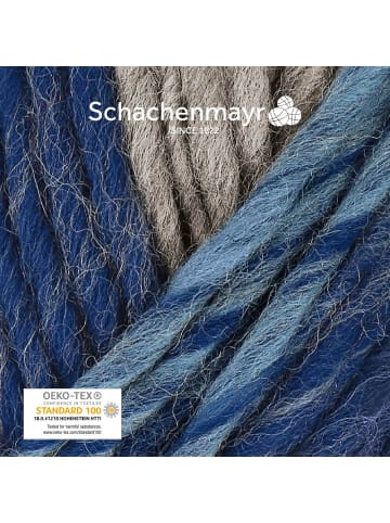 Schachenmayr since 1822 Filzgarne Wash+Filz-it! Multicolor, 50g in Denim multicolor