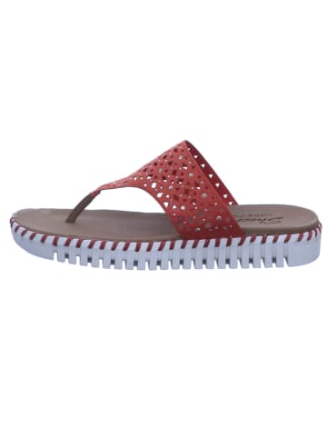 Skechers Zehentrenner SEPULVEDA - LARKSPUR in coral