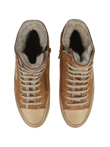 Candice Cooper Sneaker mid PLUS FUR CC in braun