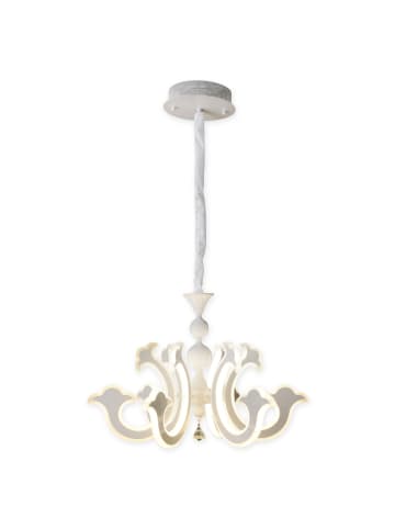 näve LED Pendelleuchte "LUDWIG" in weiß - (L)66 cm x (B)66 cm x (H)120 cm - EEK F