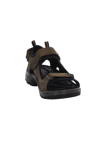 Ecco Outdoorsandalen Offroad in navajo brown