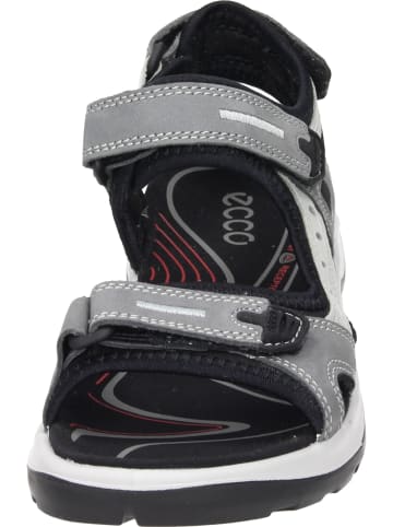 Ecco Klassische Sandaletten, Outdoor-Sandalen in titanium