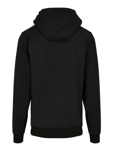 F4NT4STIC Basic Hoodie DC Comics The Flash Lightning Portrait in schwarz