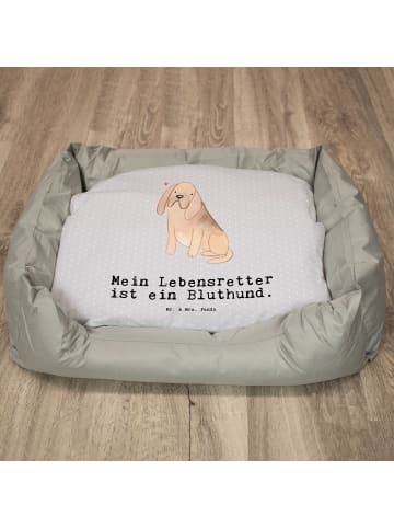 Mr. & Mrs. Panda Hundekörbchen Bloodhound Lebensretter mit Spruch in Grau Pastell