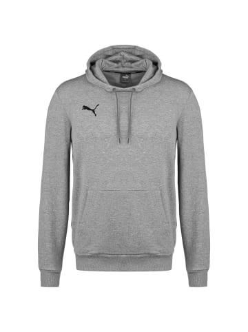 Puma Hoodie TeamGoal 23 Casuals in grau