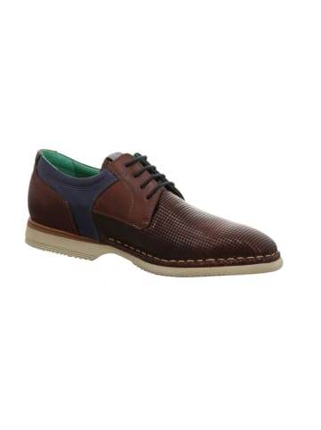 Galizio Torresi Schnürschuh in braun