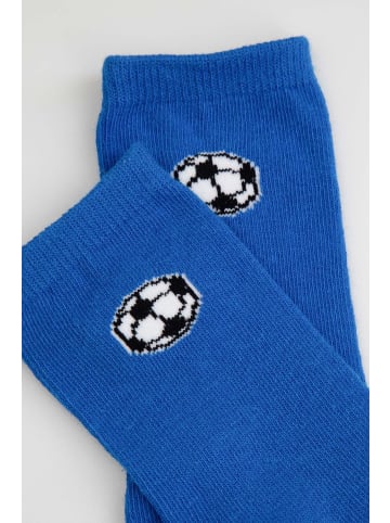 Coccodrillo Socken in kobaltblau