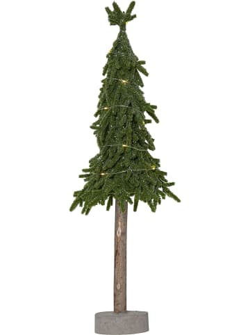 STAR Trading Baum Lummer in Grün