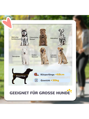 Pawhut Hundewagen 124L x 67B x 100H cm