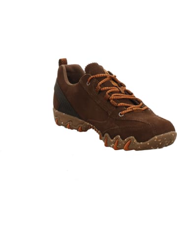 Allrounder Sneaker Low in braun