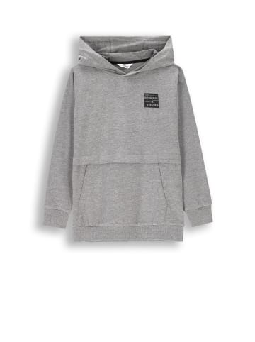 Coccodrillo Sweatshirt in grau