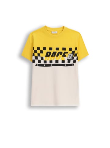 Coccodrillo Baumwoll-T-Shirt mit kurzen Ärmeln in bunt