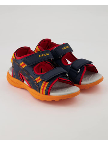Geox Sandalen in Blau