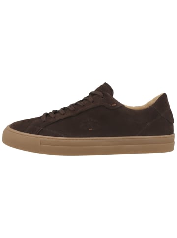 La Martina Sneaker low LFM262 in dunkelbraun