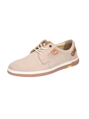 Camel Schnürschuhe in creme