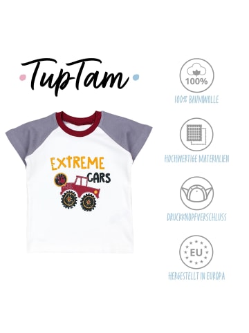 TupTam Baby Kurzarm T-Shirt 5er Set in blau/grau