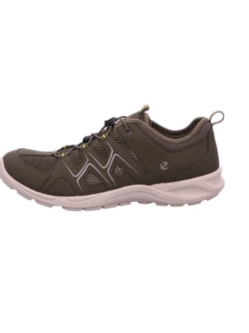Ecco Sneaker in grau