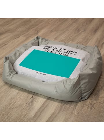 Mr. & Mrs. Panda Hundekorb Bichon Frisé Moment mit Spruch in Grau Pastell