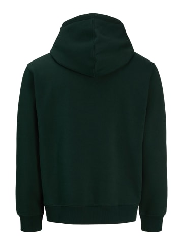 Jack & Jones Kapuzenpullover in Scarab