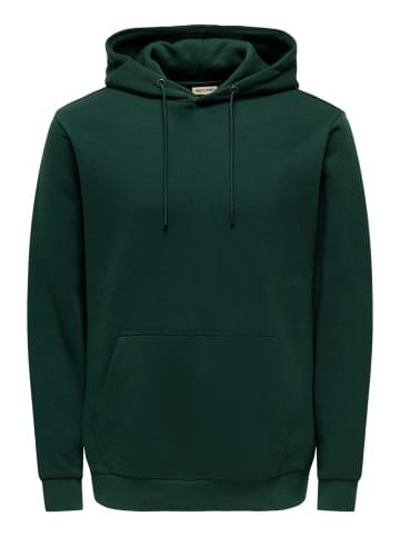 Only&Sons Hoodie 'Ceres' in grün